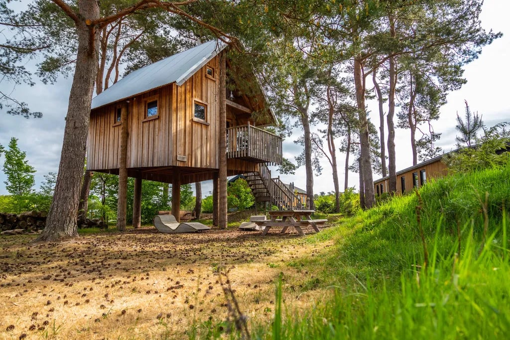 Camping De Wije Werelt gallery 2