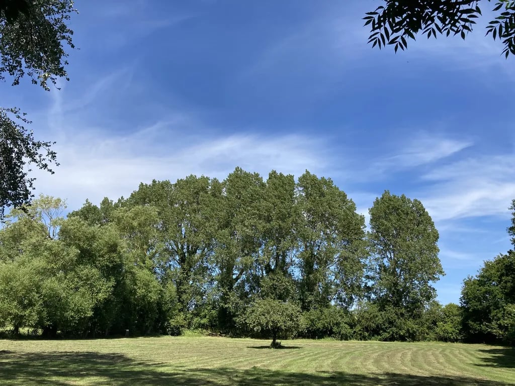 Leith House Orchards gallery 1