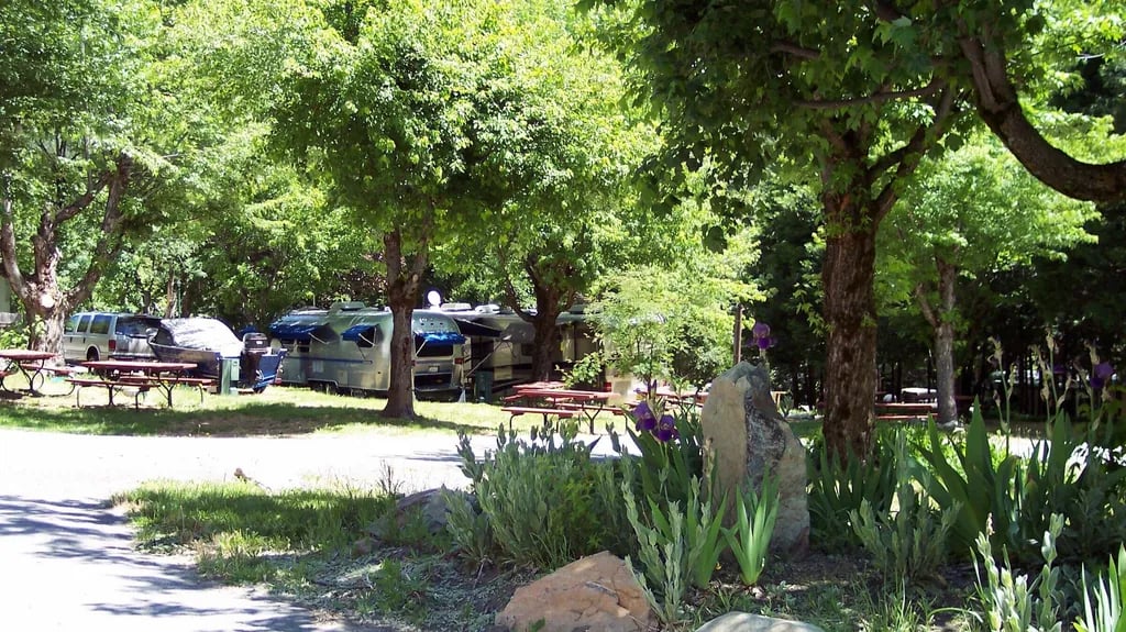 Sierra Skies RV Park gallery 3