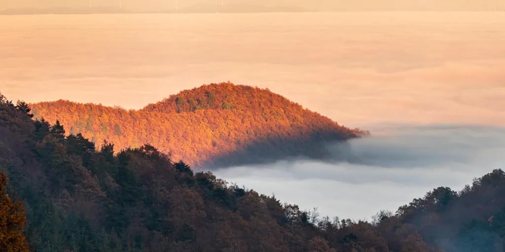 Camping Labaroche gallery 3