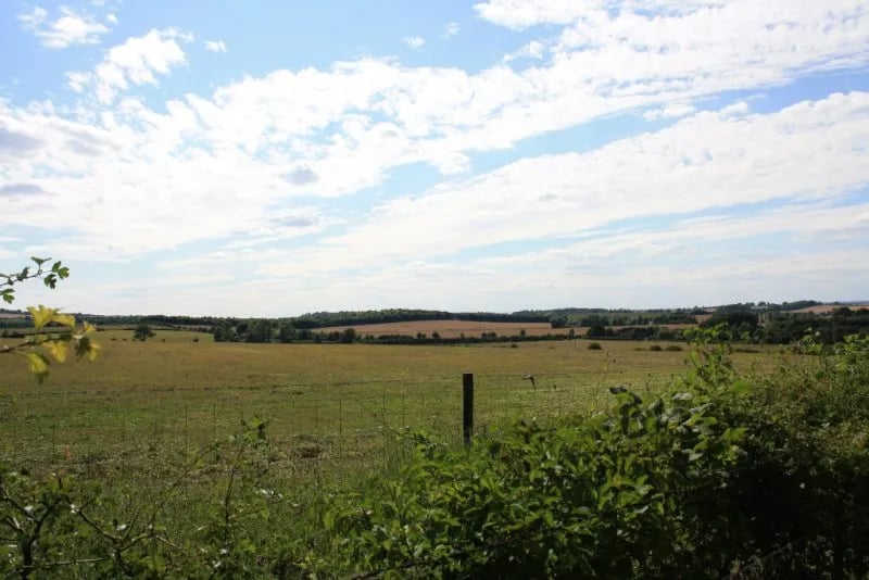 White Mark Farm gallery 1