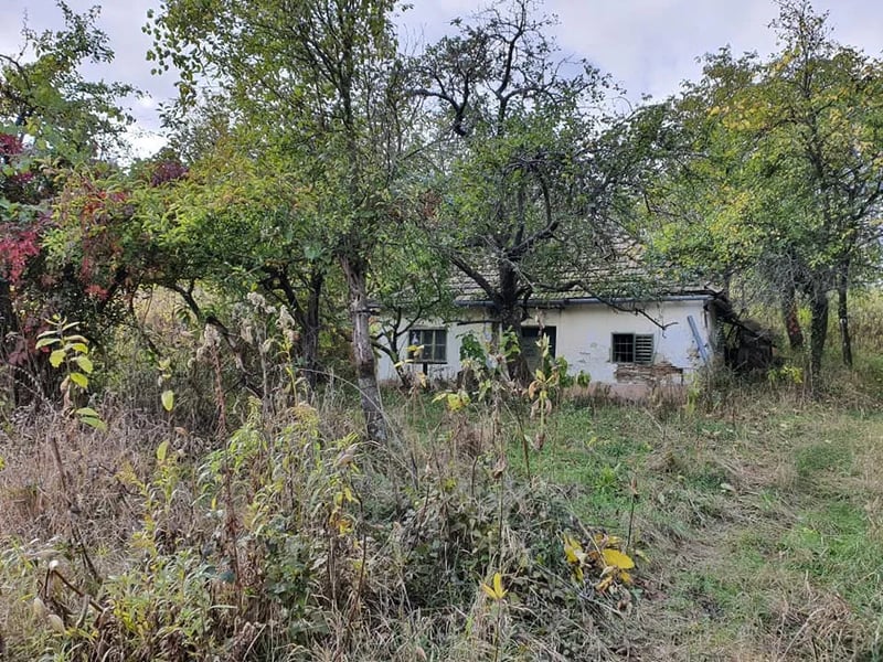 Hungarian Country Camping – Koppány Pines gallery 3
