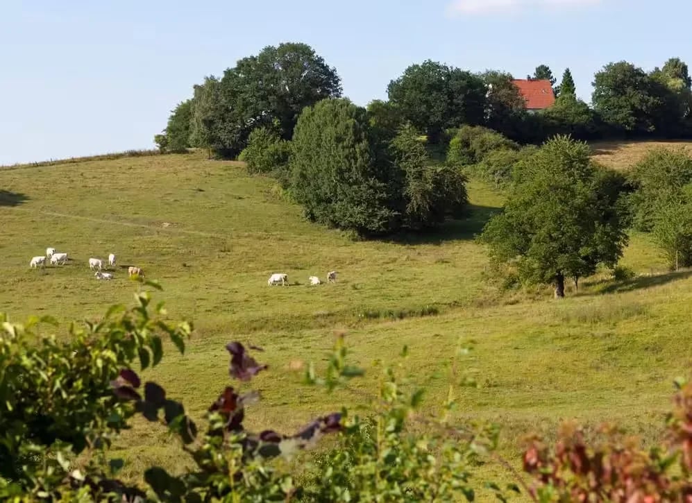 Camping Wannetal gallery 1