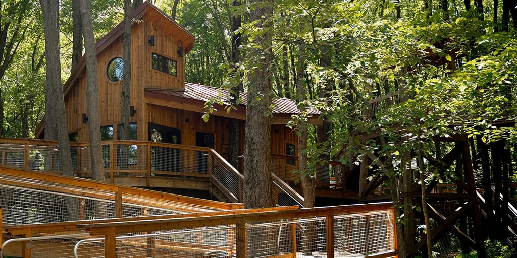 Cannaley Treehouse Village gallery 3