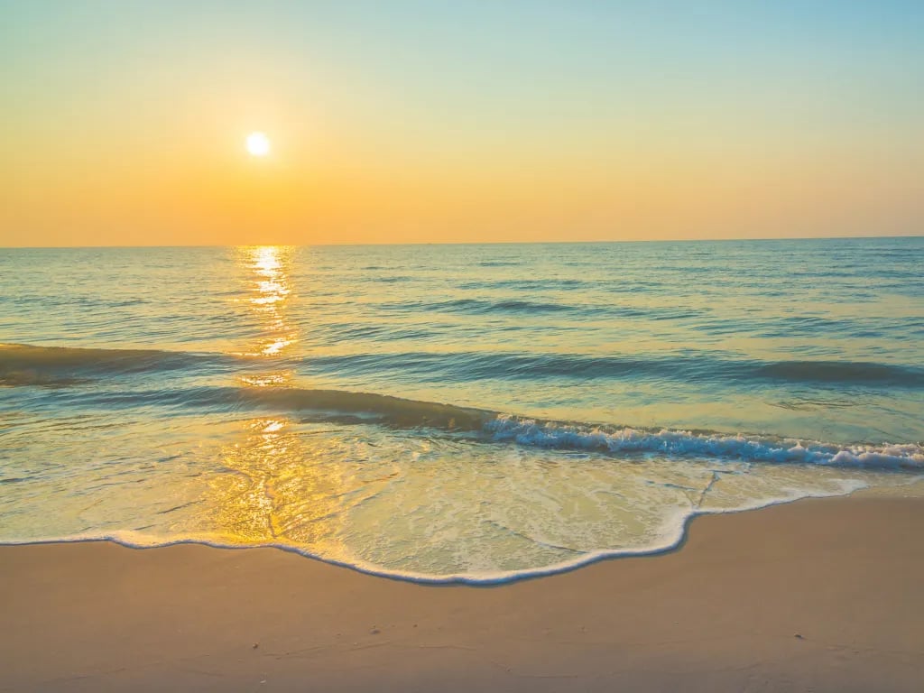 Camping los Patos gallery 1