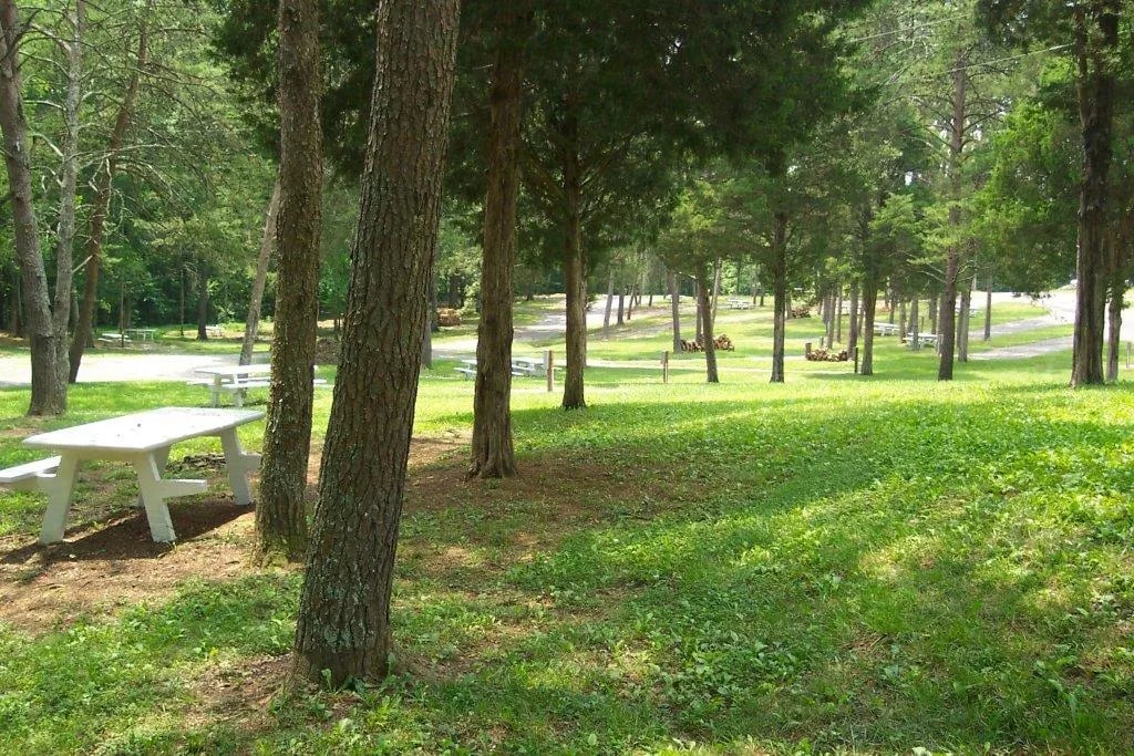 Mountain Cove Marina