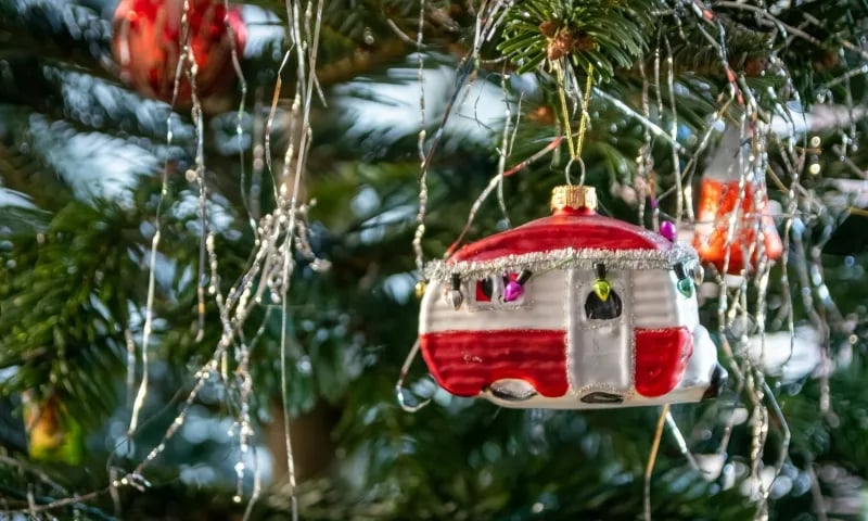 South Meadows Caravan Park gallery 2