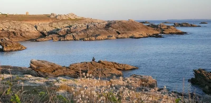 Camping Les Joncs du Roch