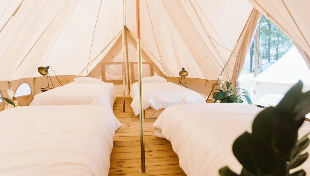 Dreamsea Surf Camp France