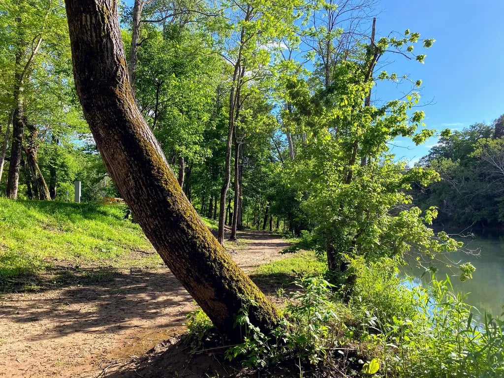 River Ridge Campground gallery 3