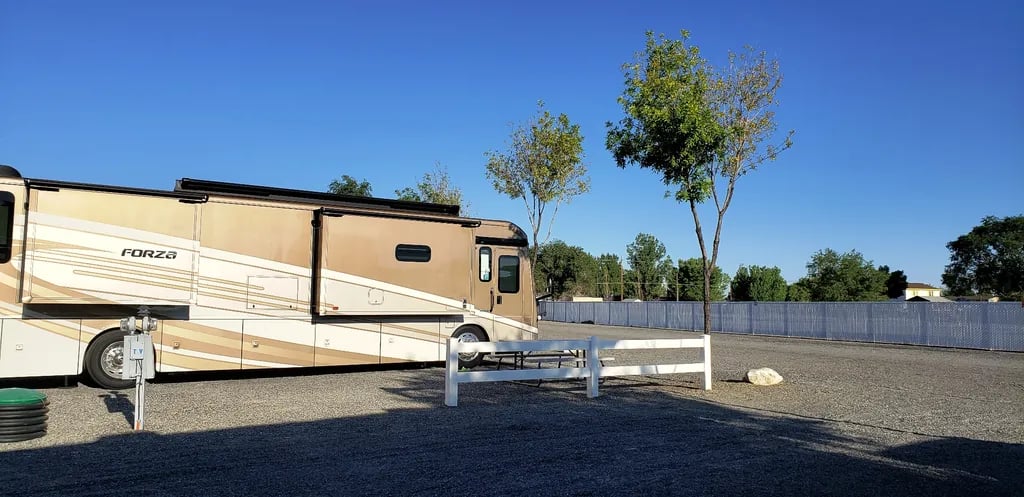 Clark Park gallery 3