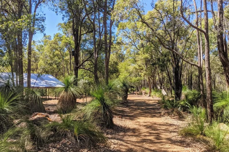 Perth Hills Discovery Centre Campground gallery 2