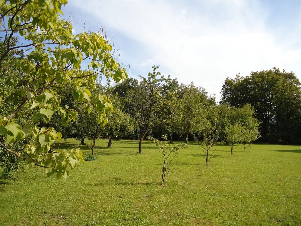 Tourist Farm Hribar gallery 2