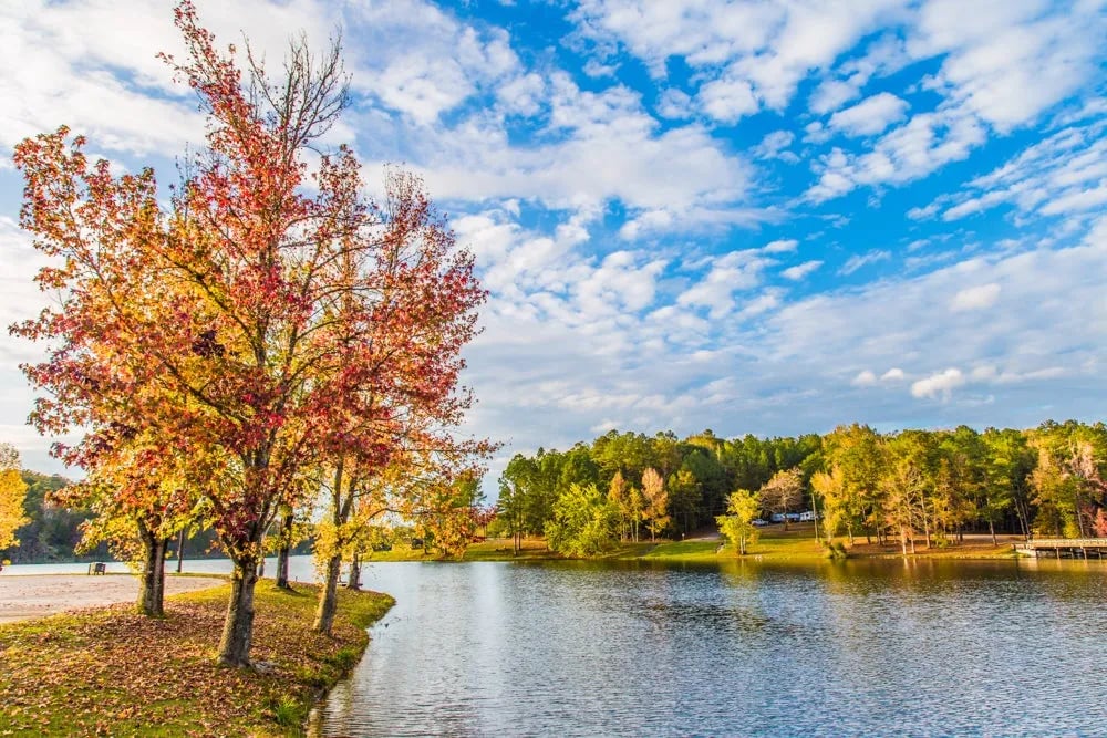 Lake Lurleen State Park Campground gallery 3
