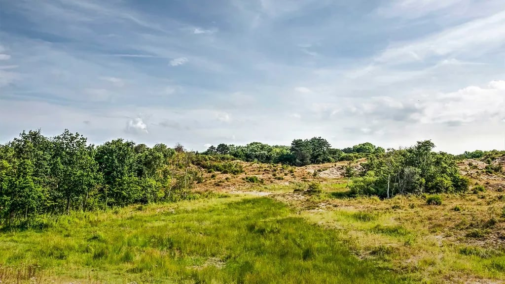 Molecaten Recreatiepark Rondeweibos gallery 3