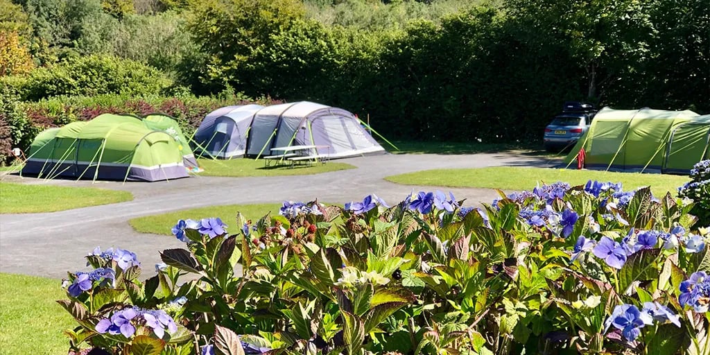 Woodlands Grove Caravan & Camping