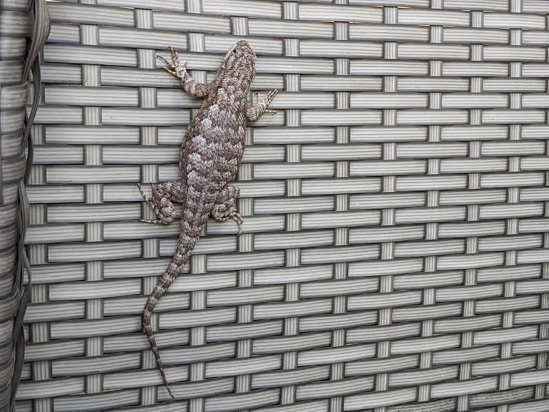 Indian Peaks RV Park gallery 1