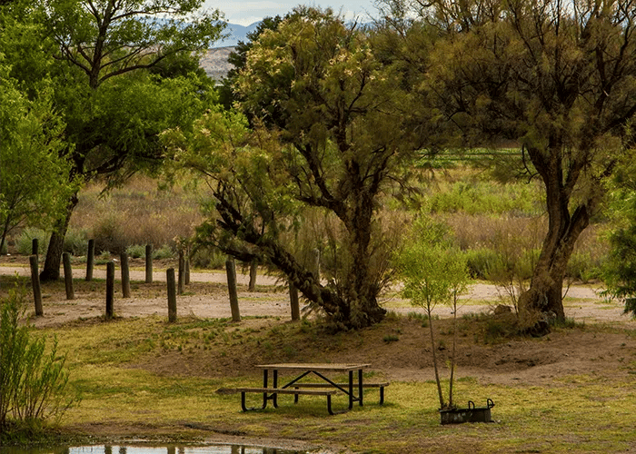 Stallion Campground — Caballo Lake State Park
