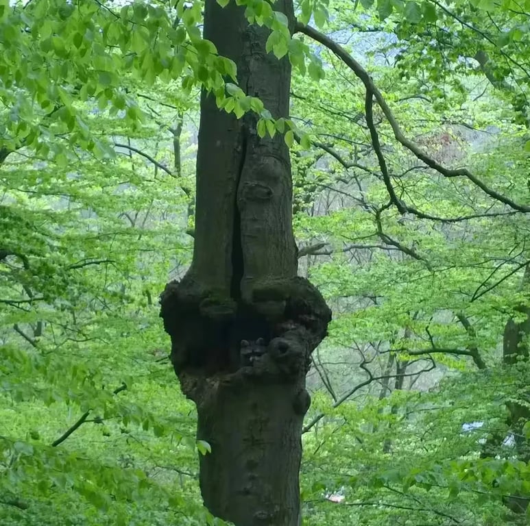 Camping Edersee-Paradies