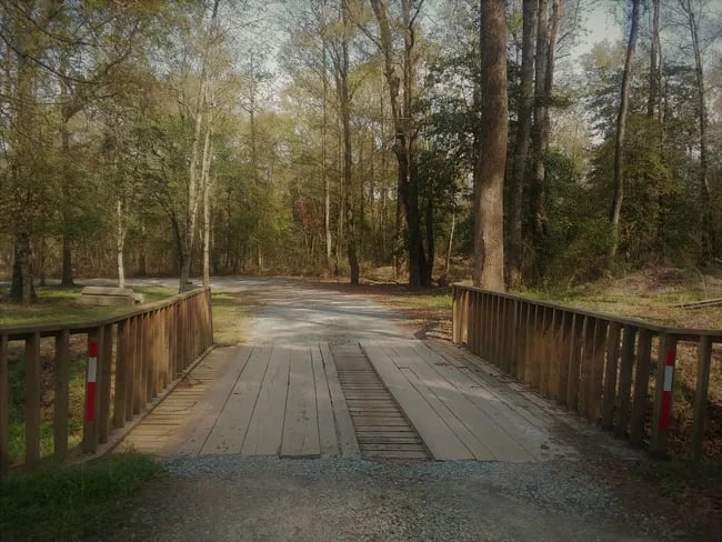 Lake Leamon Family Campground gallery 1