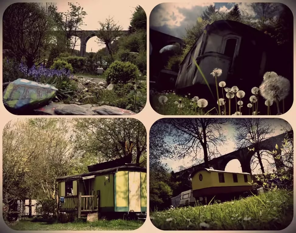 Arnocamps Champ le Monde