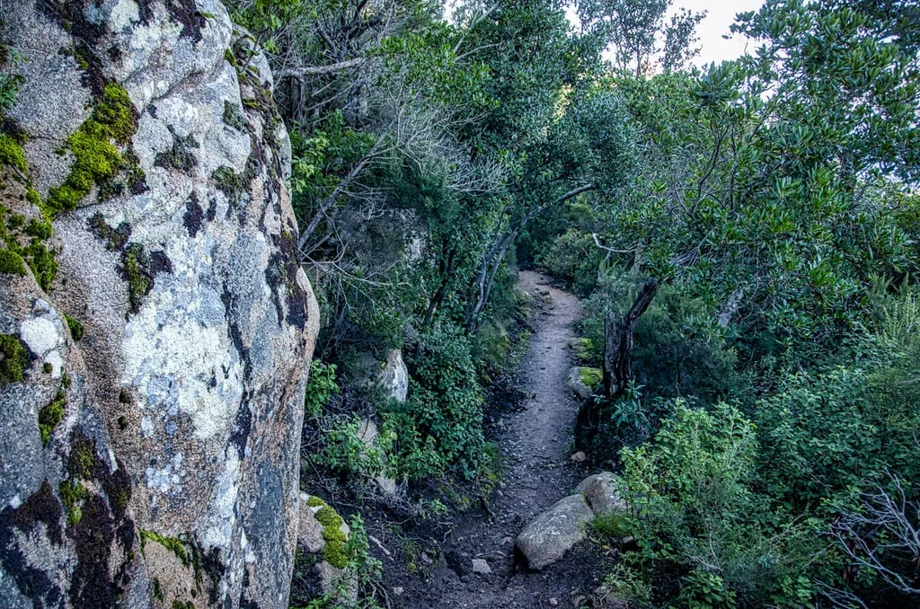 Fagernes Campingpark gallery 3