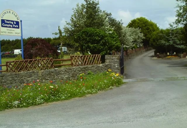 Gower Farm Touring and Camping Park gallery 3