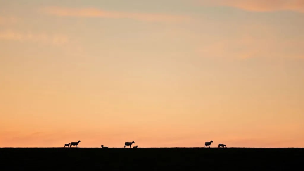 Campingplatz See Achtern Diek gallery 2