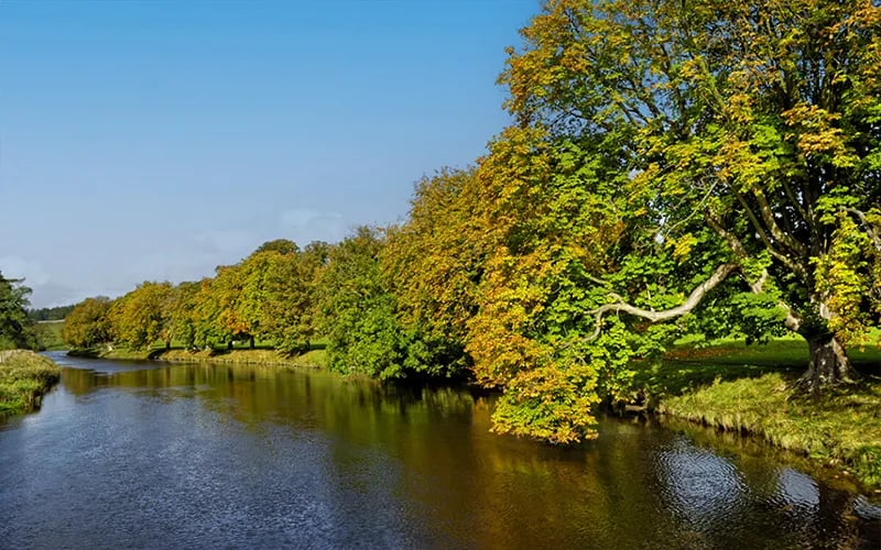 Maustin Park Ltd gallery 2