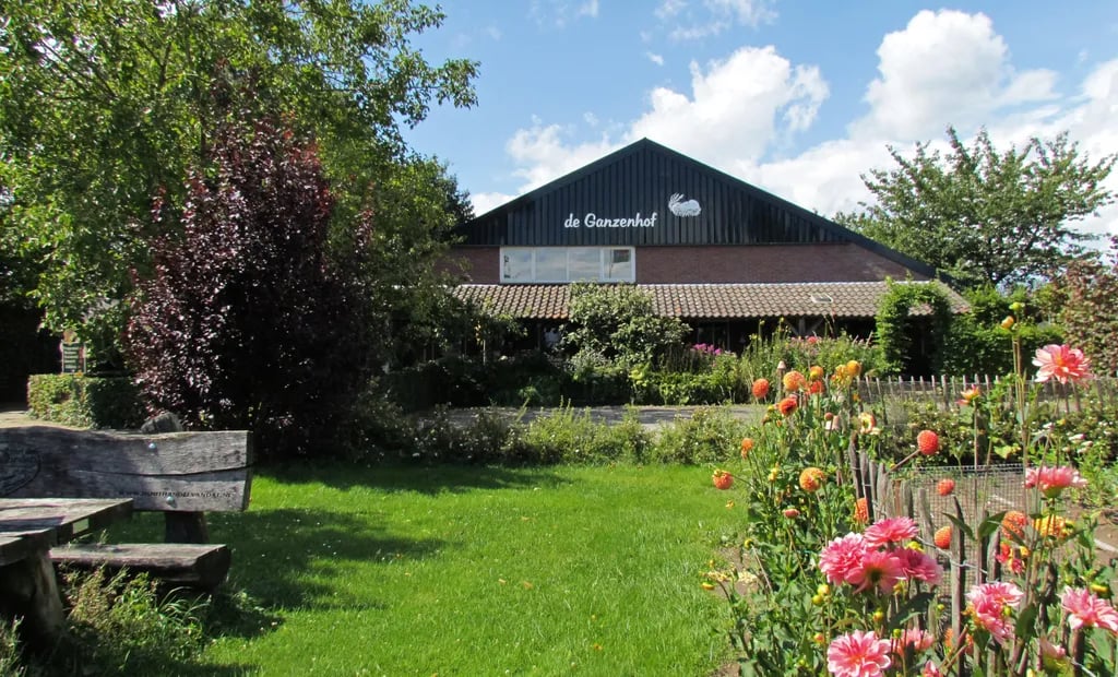 Camping De Ganzenhof gallery 2