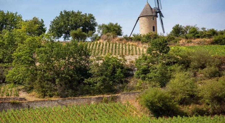 Camping de Santenay *** – Aquadis Loisirs gallery 2