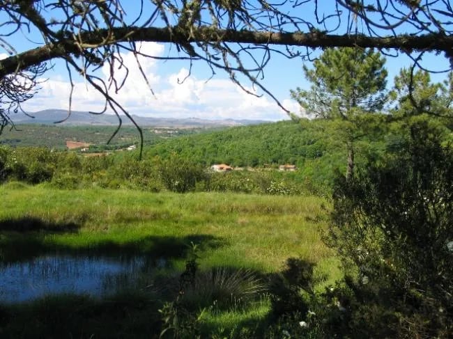 Parque de Campismo Cepo Verde gallery 2