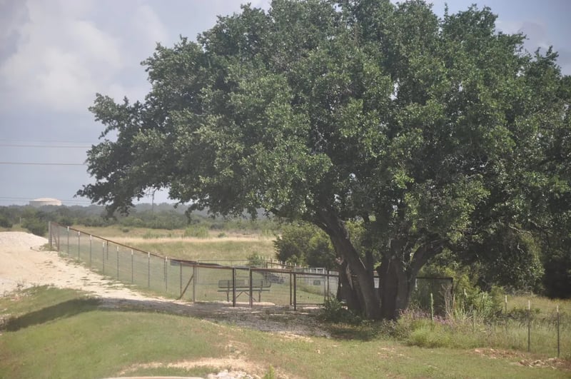 Reagan Ridge RV Resort gallery 1
