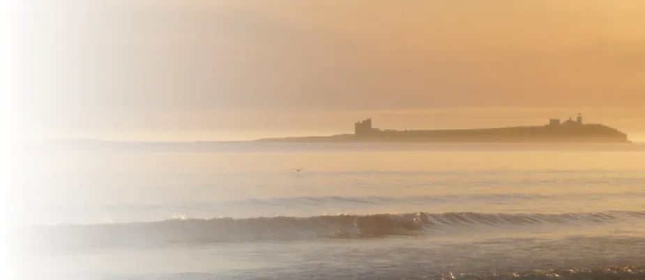 South Meadows Caravan Park gallery 3