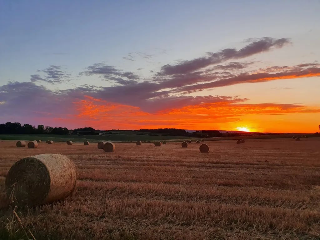 Camping Camp Redon gallery 1