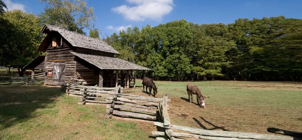 Kings Mountain — Kings Mountain State Park gallery 1