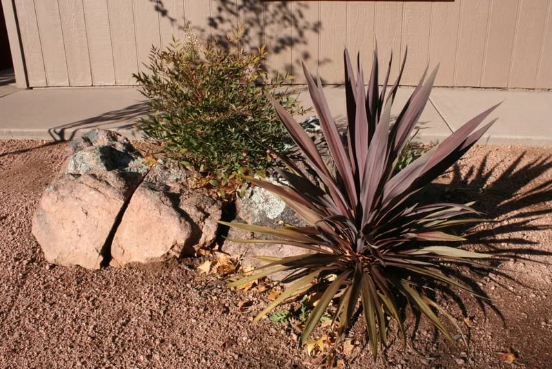 Payson Campground & RV Resort gallery 1