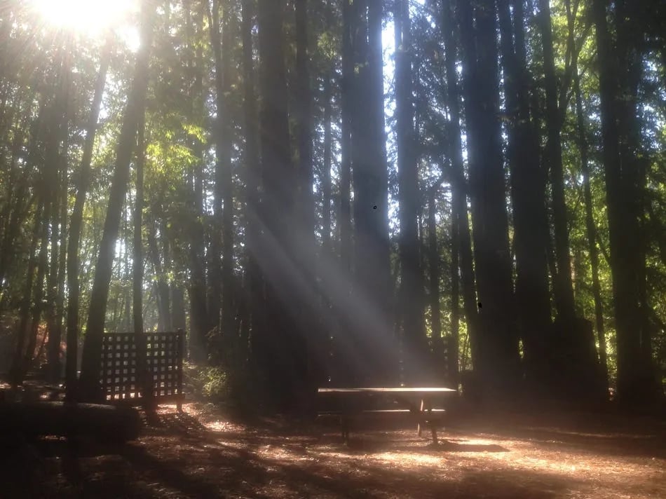 Schoolhouse Canyon Campground