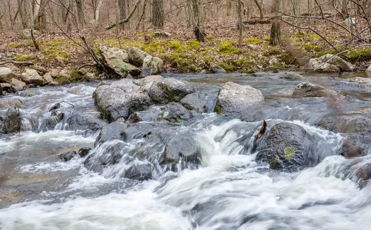 Hawn State Park Campground gallery 3