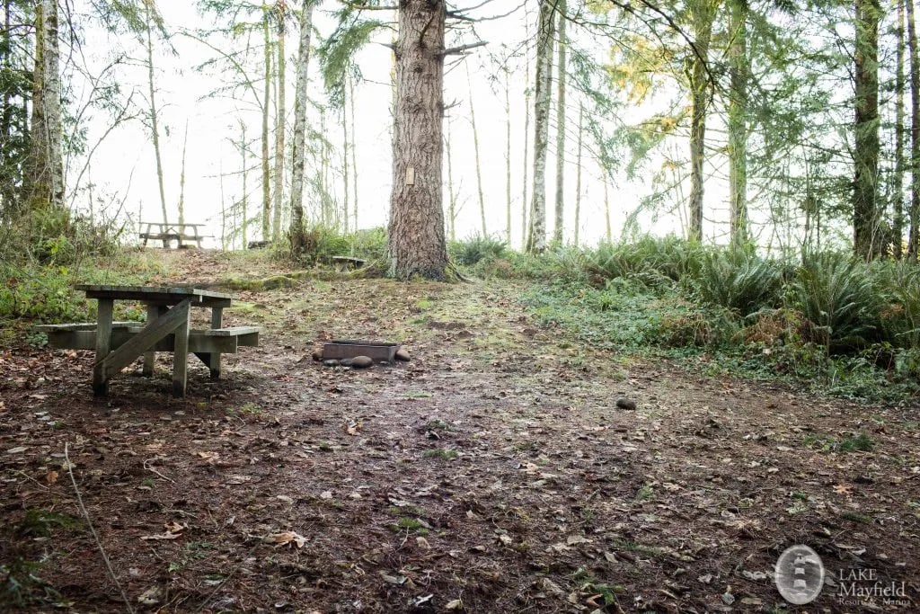 Lake Mayfield RV Resort and Marina gallery 1