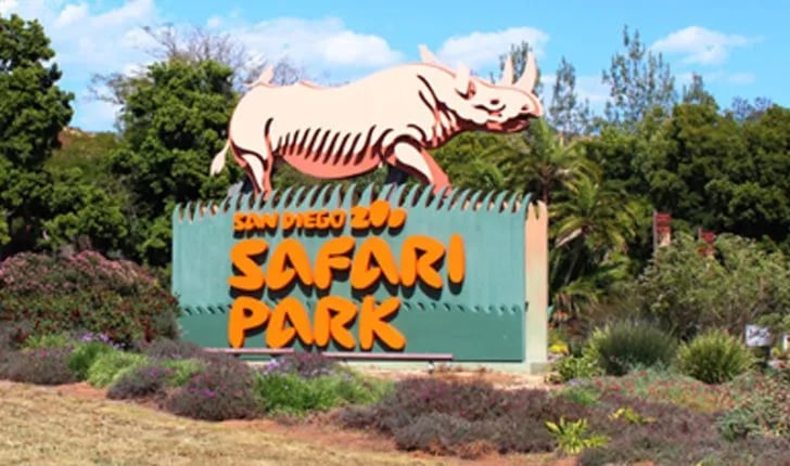 Ramona Oaks RV Resort gallery 2