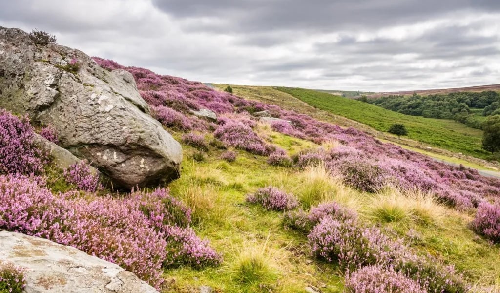 Rosedale Abbey Caravan Park gallery 2