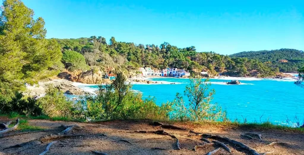 Camping King’s gallery 3