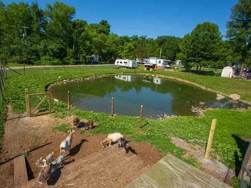 Pleasant Acres Farm RV Resort gallery 1