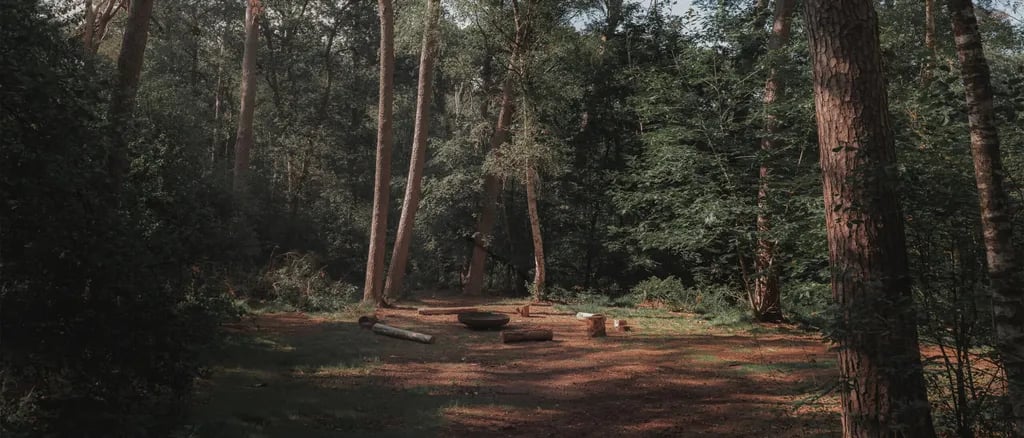 Natuurcampeerterrein Landgoed quadenoord gallery 1