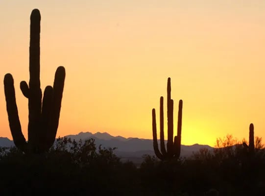 Concho Lake Recreation Area