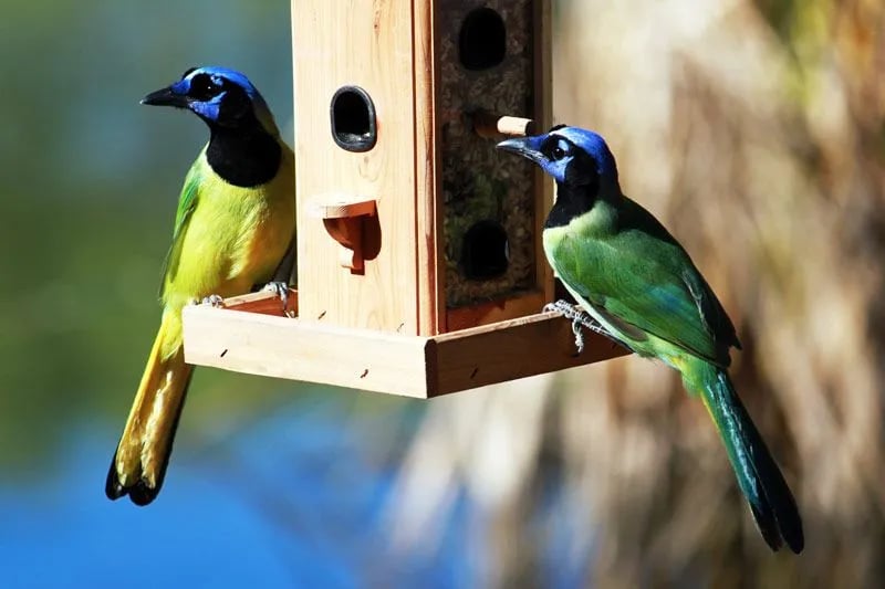 Wilderness Lakes RV Resort gallery 3