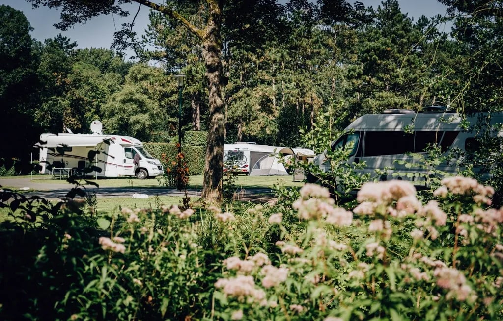 Camping Stadspark Groningen gallery 3