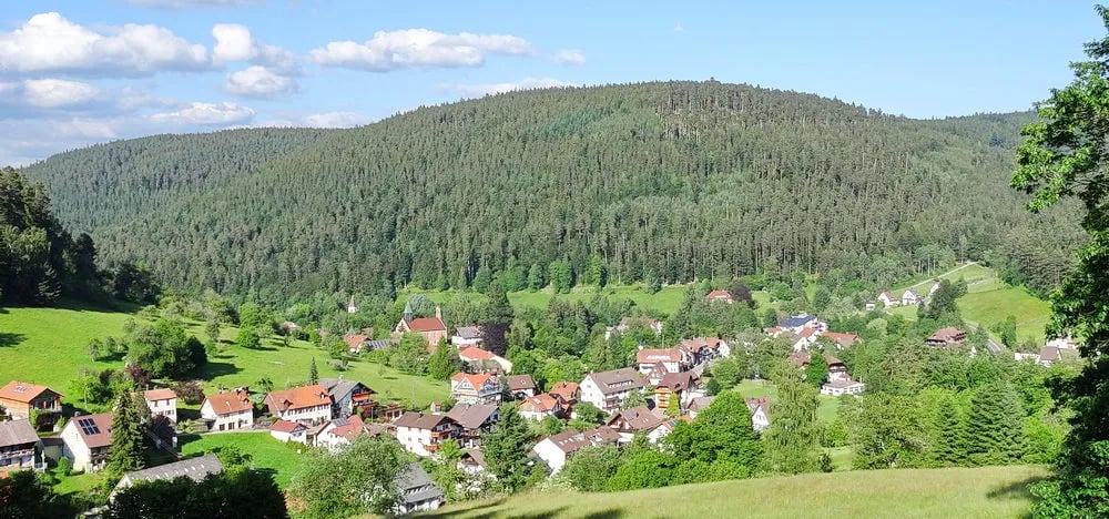 Schwarzwald Campingplatz Müllerwiese gallery 2