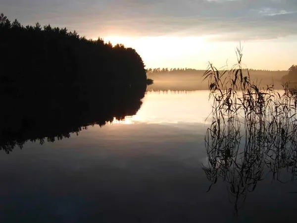 Campingoase Waldsee gallery 3
